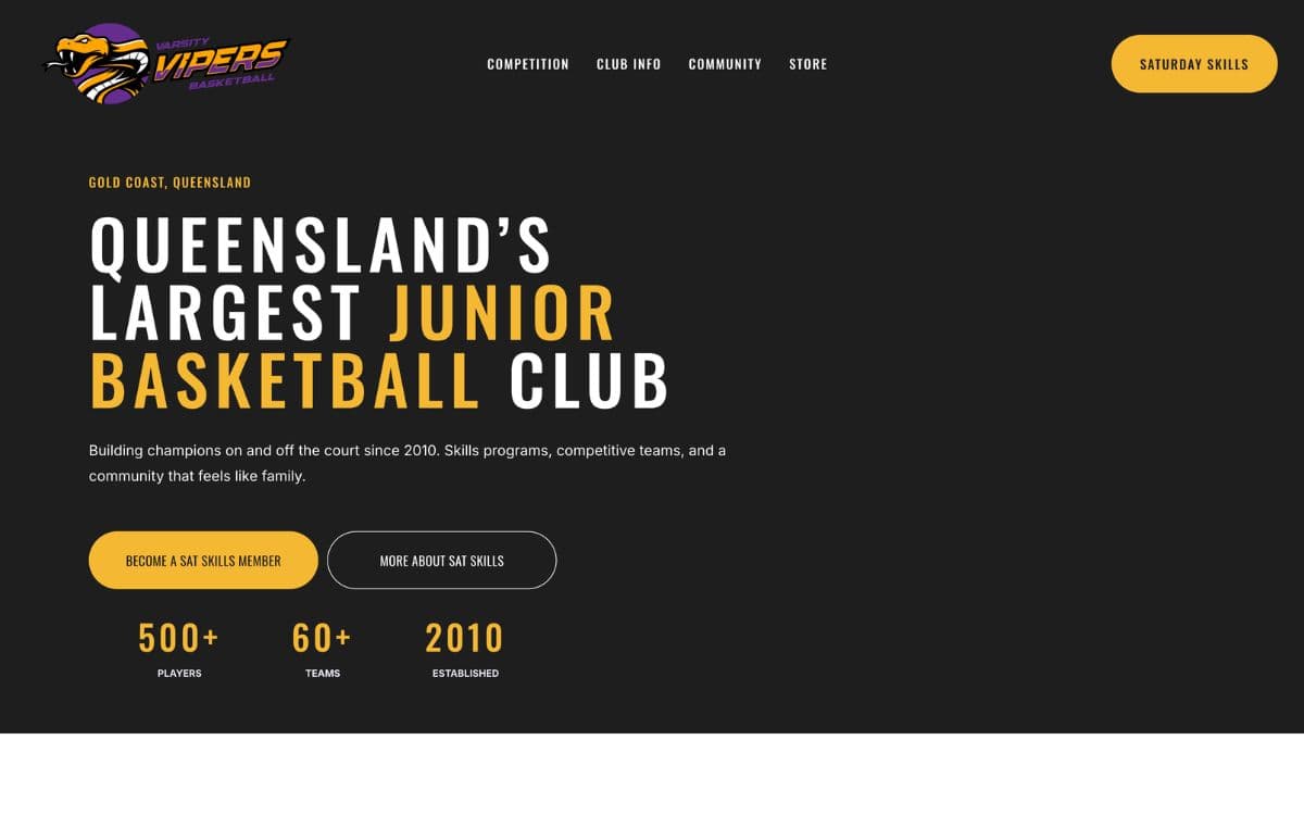 Varsity Vipers website